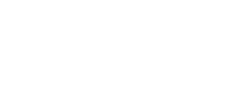 LOGAN BASKETBALL ACADEMY